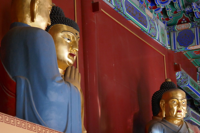 P1100073.jpg