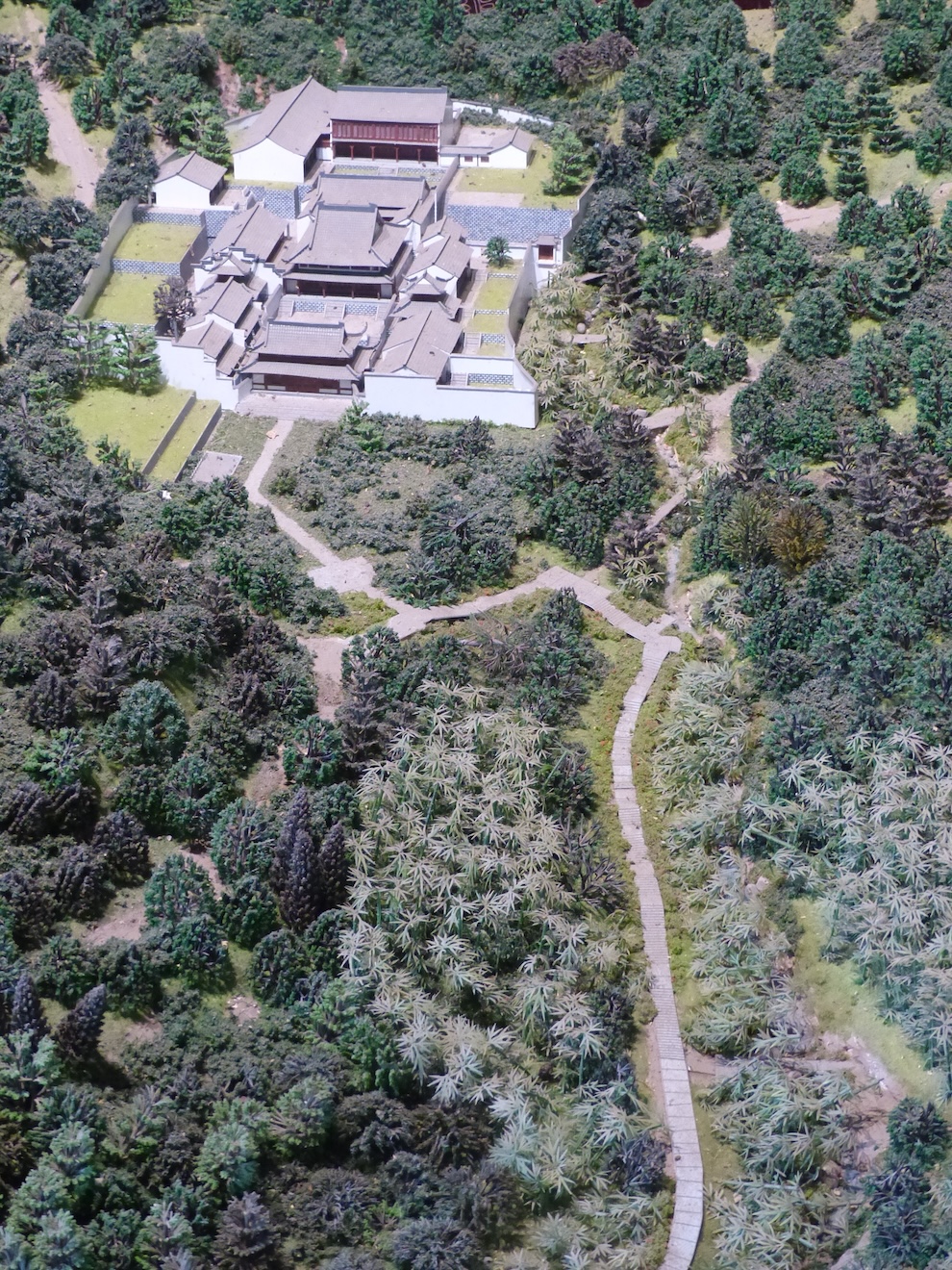 L1190725.JPG
